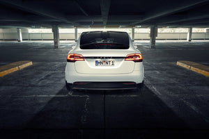Model X