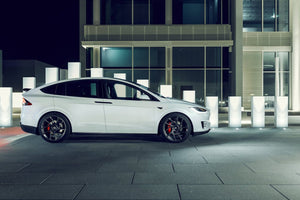Model X